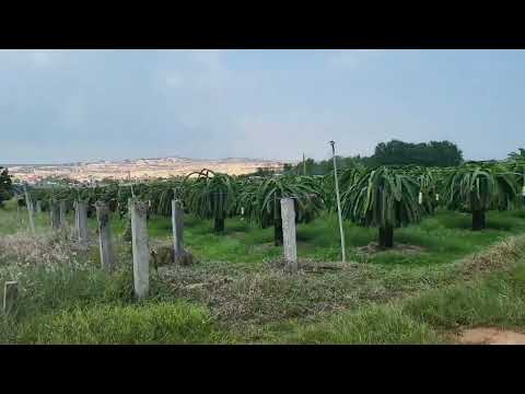 Bán 2500m2 đất nông nghiệp view Bàu Sen, ô tô vào tận đất thích hợp làm trang trại nghỉ dưỡng