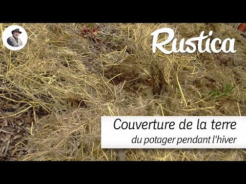 Couvrir le potager d'un paillage pendant l'hiver