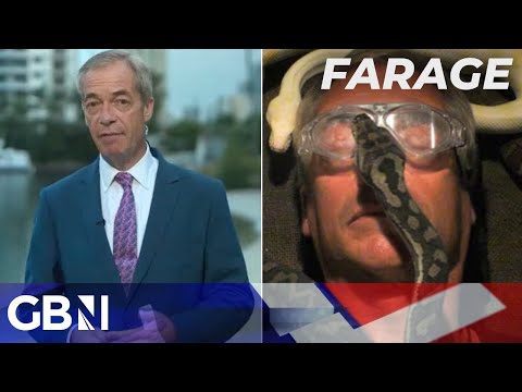 Nigel Farage RETURNS from the jungle and issues a stern warning to ITV boss Kevin Lygo