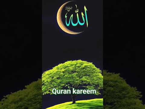 🤲🌹🤲☘️💚#allahalwayswithyou #qurantranslation #quranpak #shortvideo #mychannel #youtubeshorts