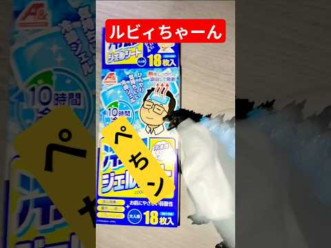 ホビーの動画サムネイル - ルビィちゃーん冷えピタでペチン #チャンネル登録お願いします #バズれ #おれポケ #セッション#ゴジラ#おもしろ動画 おもしろ#love #dj #ゴジラ