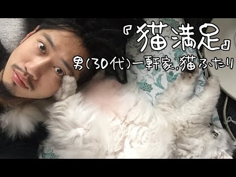 【猫満足】男(30代)一軒家,猫ふたり