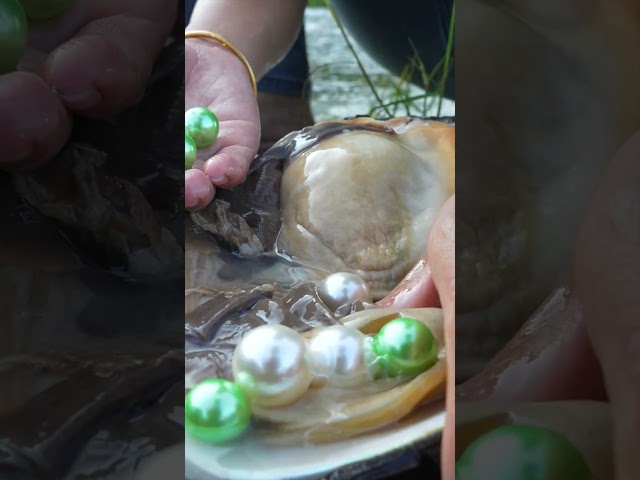 😘Girl Uncovers Weird River Clam, Finds Pearls & Gems Inside
