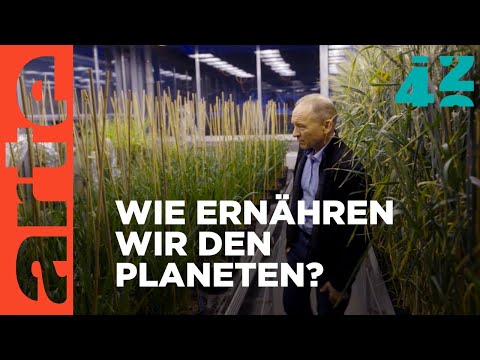 Wie werden alle satt? | 42 - Die Antwort auf fast alles | ARTE