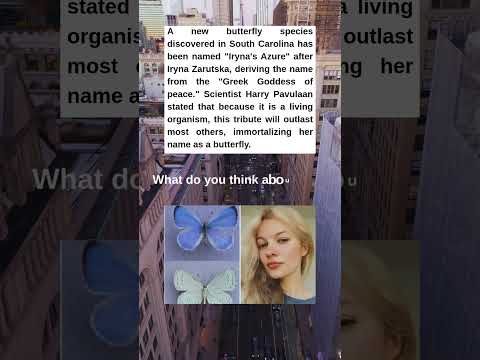 New Butterfly Species Named Iryna's Azure to Immortalize Iryna Zarutska