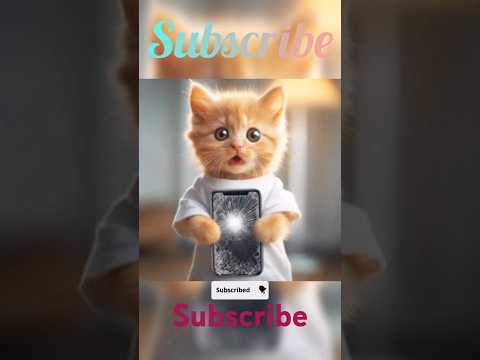 Meow meow Cat Phone📲 broken 💔💔 #cat #youtube #youtubeshorts #foryou #viralshort