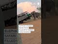 Elephant charges safari truck filled with tourists in South Africa  - 00:52 min - News - Video