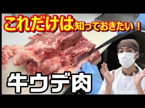 【知っ得】肉屋おすすめ！コスパの良い部位【ウデ肉】を知って欲しい