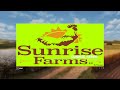 Sunrise Farms v2.0