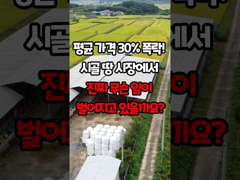 농지 평균 가격 30% 폭락! 지금 시골땅 시장에서 진짜 무슨 일이 벌어지고 있을까요? #농지전수조사 #농지거래 #시골땅 #착한부동산