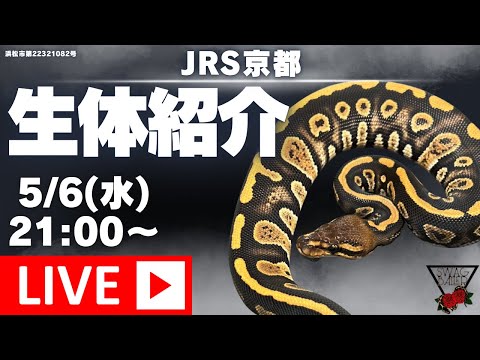 京都JRS!【生体紹介ライブ】