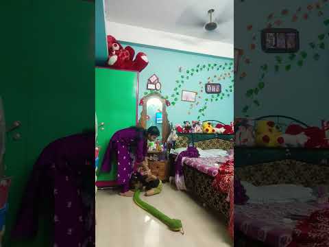 বাবু দেখ এটা কি #viralshort #funny #shortsvideo