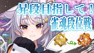 【🀄️雀魂🀄️】 最近ずっと雀傑1にいませんか？【ぶいぱい / アップランド 】#新人vtuber