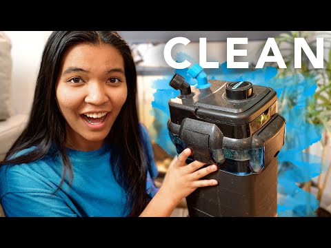 I cleaned my GROSS turtle tank filter (How to Clea Penn Plax Cascade 1000 Canister Filter ► https_//amzn.to/492AyRC
This past week, I FINALLY got aro