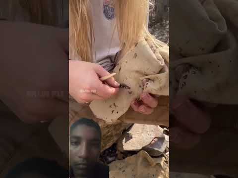 #wood #fishing #amazingfacts #facts #automobile #amazing #bangla #bengalifacts #funny #entertainme