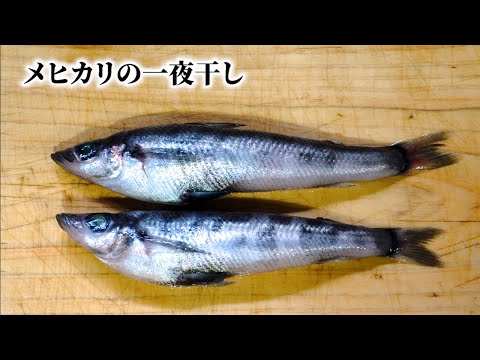 メヒカリをさばく・干す・焼く!背開きから串焼きまで