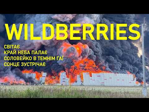 WILDBERRIES: Світає, край неба палає! Соловейко в темнім гаї сонце зустрічає