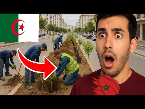 😱 مغربي مصدوم!! 🇲🇦🇩🇿الجزائر تغرس مليون شجرة في يوم واحد! 🌳 🇩🇿
