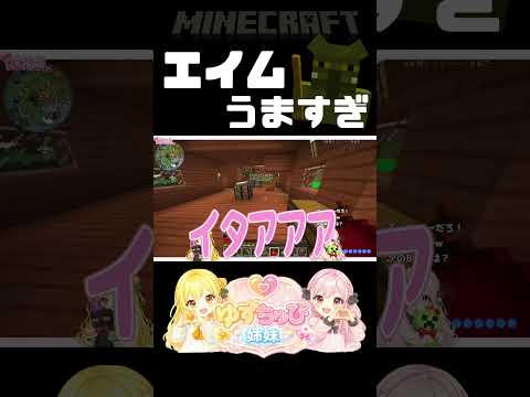 エイムがうますぎる敵と遭遇してひたすら狙い撃ちされる妹【マインクラフト】【姉妹実況】