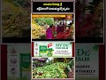 రాయలచెరువు శ్రీ శక్తిపీఠంలో హనుమజ్జన్మోత్సవం  #hanumanjayanthi #shaktipeeth #bhakthitv