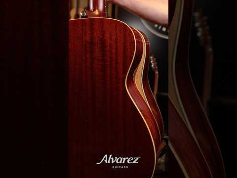 Grand Auditorium vs Dreadnought on Alvarez TV #alvarezguitars #acousticguitar