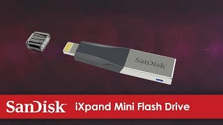 SanDisk 32 GB iXpand Mini (SDIX40N-032G-GN6NN)
