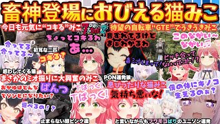 "ゆず…？"念願の自転車に乗りうきうきみこをブッ刺し新天地でゾンビより恐ろしい大絶叫をかます狼だPONと新生チームで今日もコキるみこちゃんま