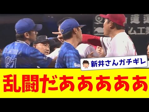 広島✕DeNAで乱闘騒ぎ、新井監督激高