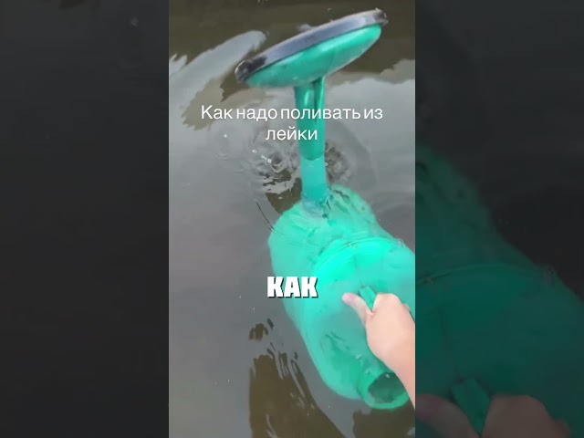 ОГОРОДНЫЙ ЛАЙВХАК В ДЕЙСТВИИ