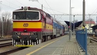 Obrázek