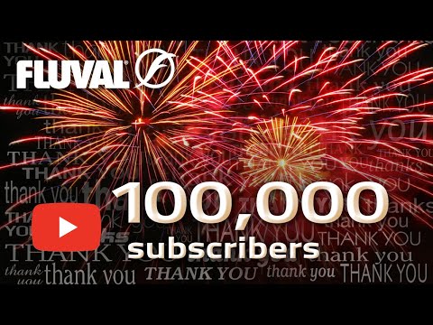 FLUVAL AQUATICS | Best of 100,000 Subscribers!
