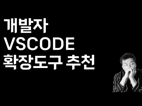 개발자의 VSCODE 확장도구 추천