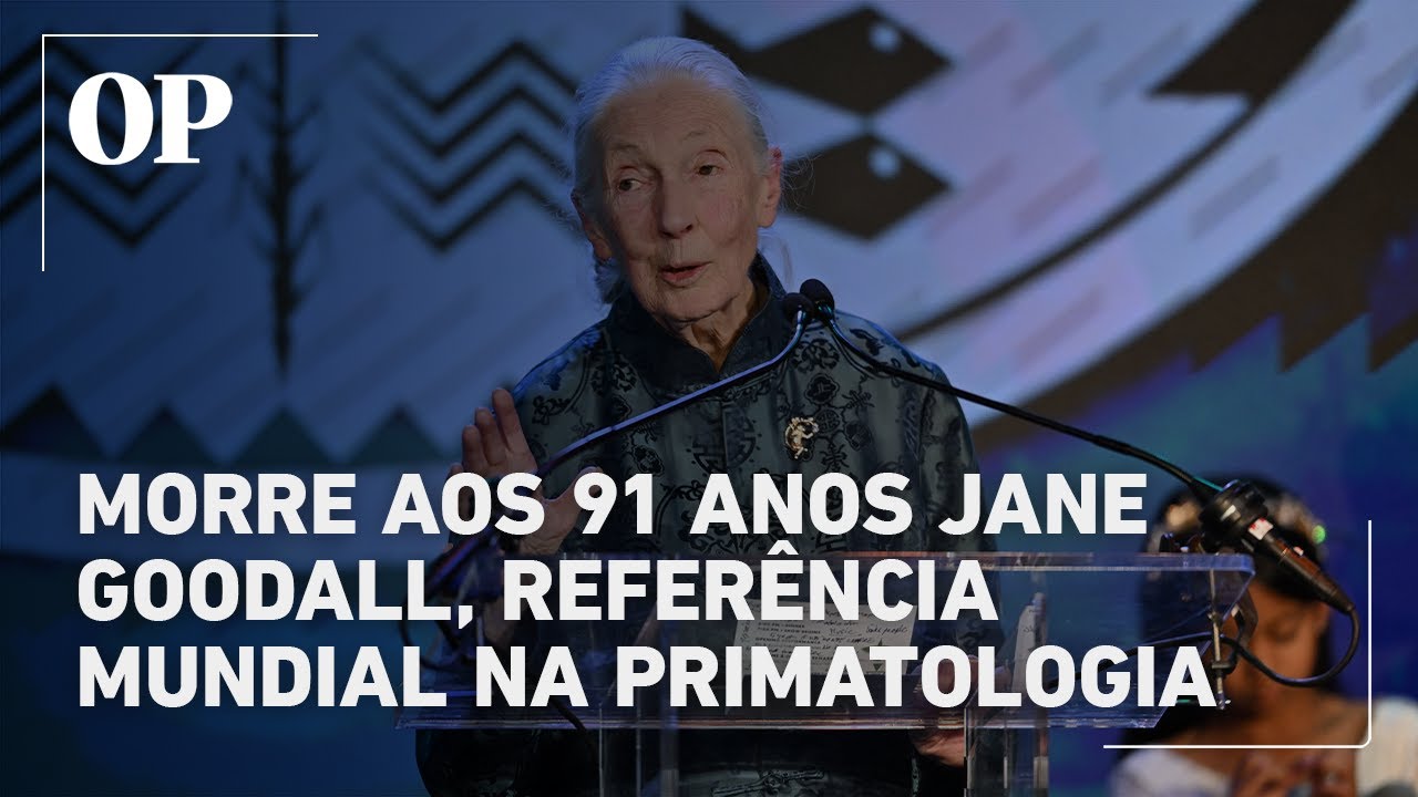 Morre aos 91 anos Jane Goodall a primatologista que revolucionou os estudos sobre chimpanzés