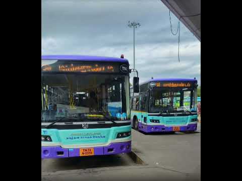 பணம் திருடும் Bus money looting bus