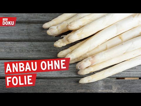 Spargel ohne Folie - Anders ackern in Kalkwitz | Reportage