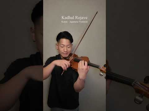Kadhal Rojave | Violin Cover | Kohei - Japanese🇯🇵 Violinist🎻 #violin #arrahman