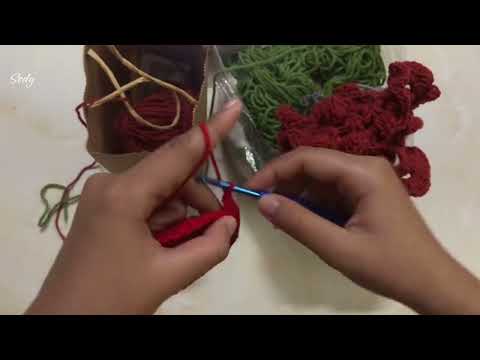 HỌC MÓC LEN🥰Sohan