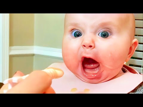 Baby Videos of the Month you Cann't watch without laugh Hard - Funny Baby Video Compilation