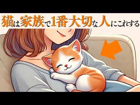 猫が家族の中で特に大切な人にだけ見せる行動とは サムネイル