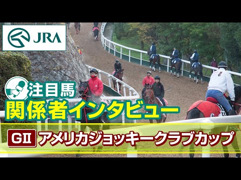 【注目馬 関係者インタビュー】2025年 アメリカジョッキークラブカップ｜JRA公式