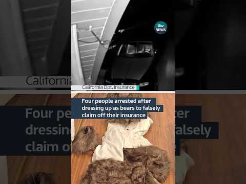 Four people arrested after dressing up as bears to falsely claim off their insurance | ITV News