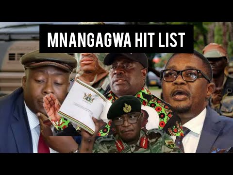 Pachafiwa Military Intelligence Officer Leaks Mnangagwa's Hit List 