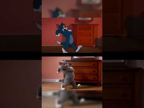 Tom & Jerry In Real Life