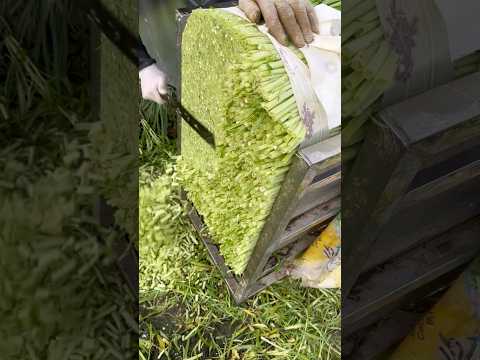 Is there anything more satisfying that this?! 🌱🤷🏽‍♂️