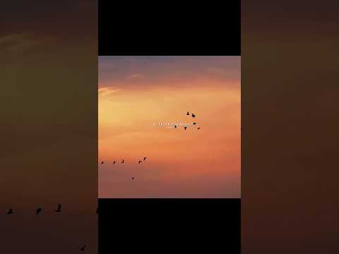 Jaane Na Tu | Aesthetic Lyrics Status | Romantic Sad Song | Heart Touching Love Status #shorts #song