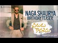 Birthday teaser from Varudu Kaavalenu team to Naga Shaurya