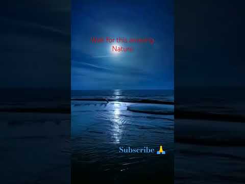 wait to watch this amazing nature tap the bell 🔔 to get notified when ever i posted a video #shorts