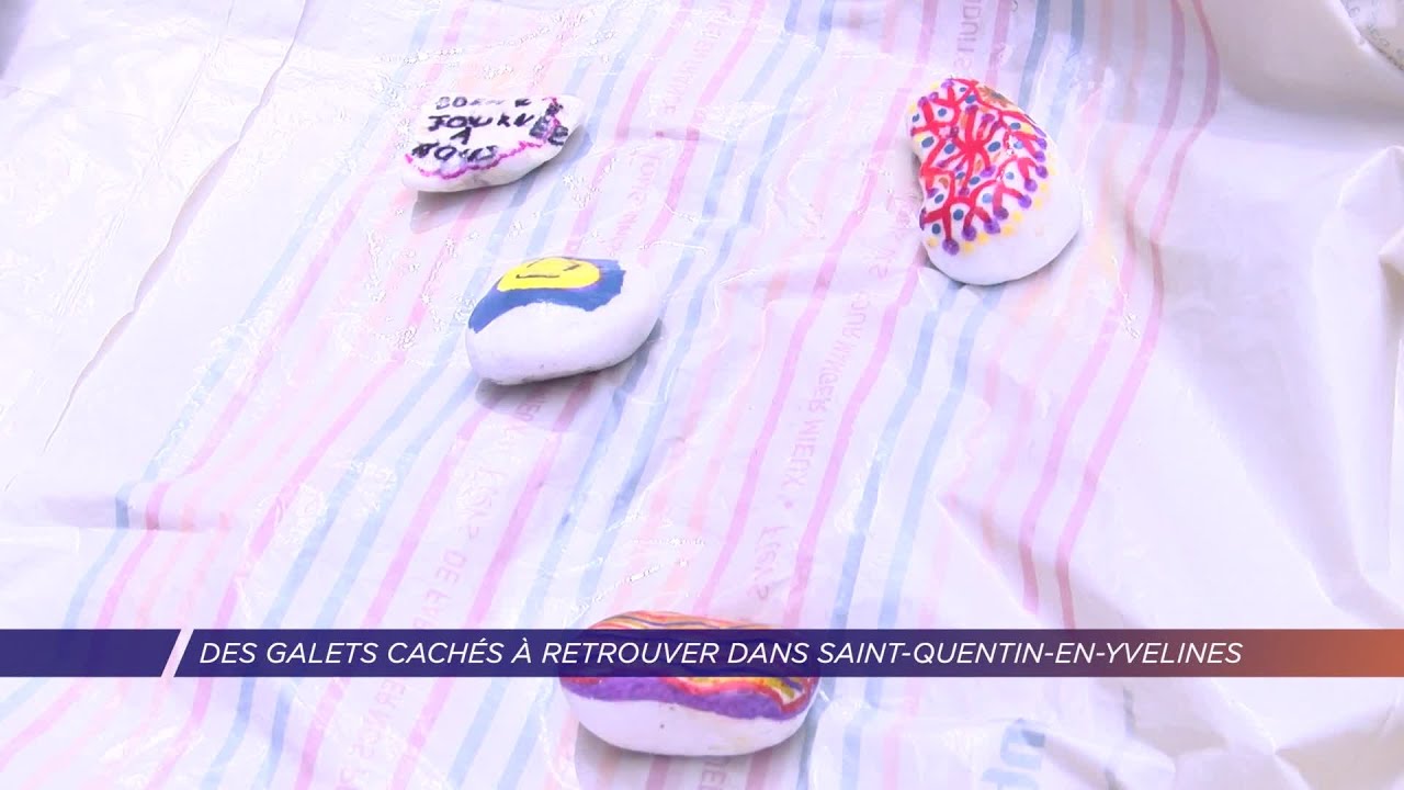 Yvelines | Des galets cachés à retrouver dans Saint-Quentin-en-Yvelines