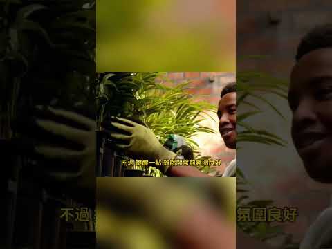 💥美股開盤前異動！Fed降息預期點燃行情🔥#美股 #美聯儲 #降息 #美股投資 #投資趨勢 #盤前 #sp500 #股市觀察 #道瓊斯 #科技股