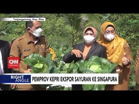 Pemprov Kepri Ekspor Sayuran ke Singapura